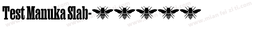 Test Manuka Slab字体转换